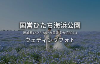 茨城 国営ひたち海浜公園でのウェディングフォト