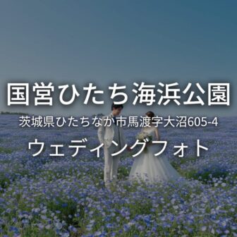 茨城 国営ひたち海浜公園でのウェディングフォト