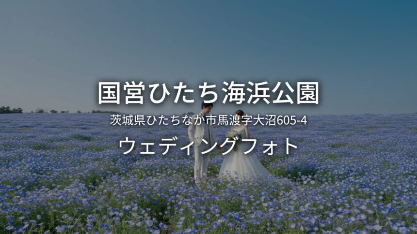 茨城 国営ひたち海浜公園でのウェディングフォト