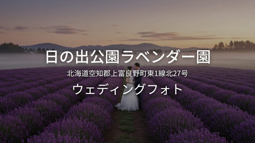 北海道 日の出公園ラベンダー園